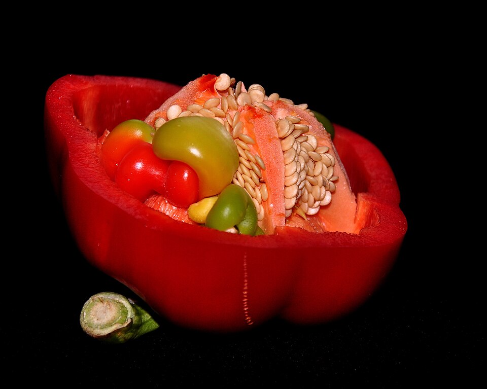 960px Baby Bell pepper Capsicum annuum 3