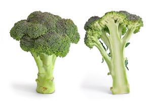 How to Grow Broccoli: Cool-Season USA Guide