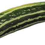 960px CSA Striped Zucchini