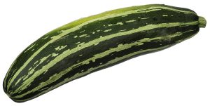 How to Grow Zucchini: Big Harvests, Small Space