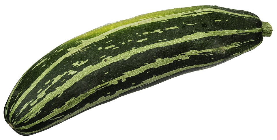 How to Grow Zucchini: Big Harvests, Small Space