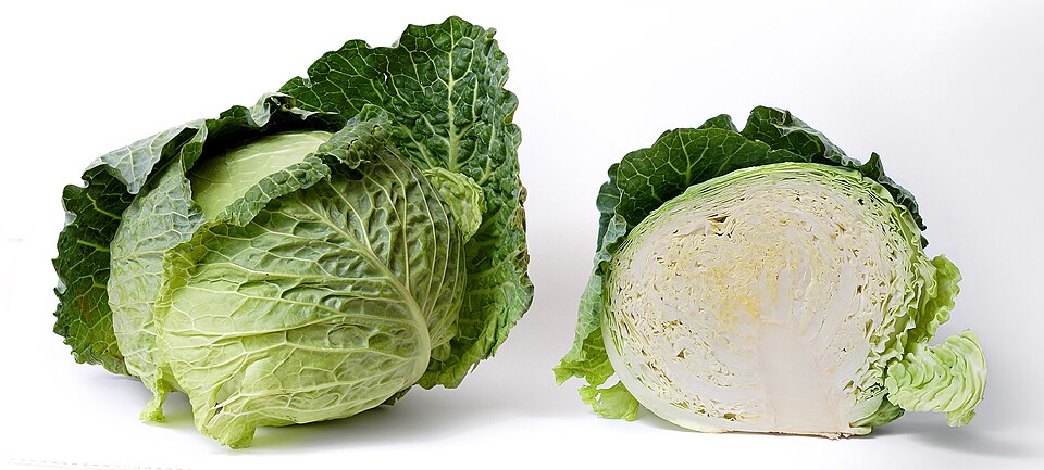 960px Cabbage and cross section on white