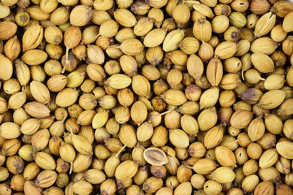 960px Coriander Seeds