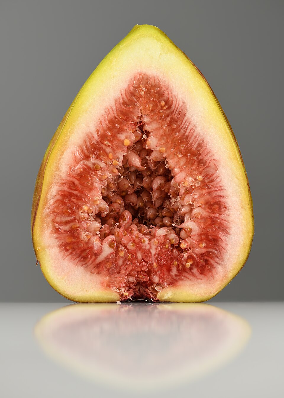 960px Fig 28Ficus carica29 fruit halved