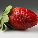 How to Grow Strawberries: USA Home Guide
