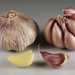 How to Grow Garlic: Fall Planting Guide