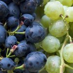 960px Grapes2C Rostov on Don2C Russia