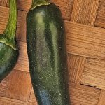 How to Grow Jalapeno Peppers: A USA Guide