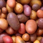 960px Patates