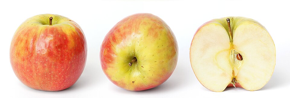 how to grow apples
