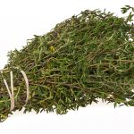 960px Thyme Bundle