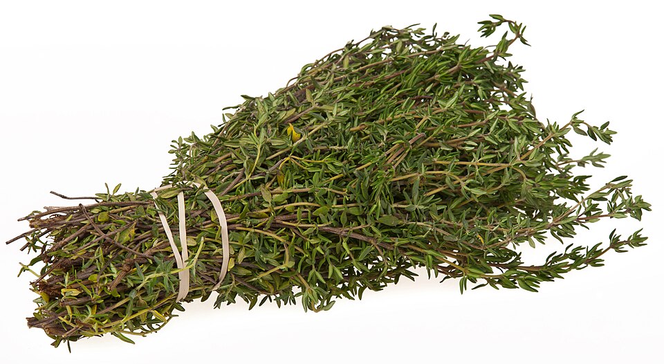 960px Thyme Bundle