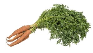 How to Grow Carrots: Straight Sweet Roots