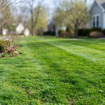 Pre Emergent Weed Killer Application Timing Guide
