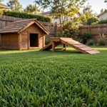 Artificial Grass for Dogs Pros and Cons